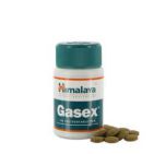 Holisan Gasex 100 tabletten