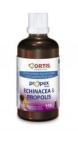 Ortis Voedingssupplementen Propex Echinacea Propolis Druppels 100 ml