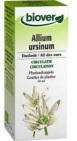 Biover Allium ursinum tinctuur 50ml