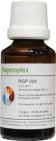 Balance Pharma RGP004 Nieren Regenoplex 25ml