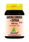SNP Garcinia Cambogia + Chitosan 500mg Puur 60cap