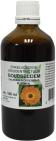 De Cruydhof Calendula Officinalis fl / Goudsbloem Tinctuur 100ml