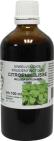 Natura Sanat Melissa officinalis herb / citroenmelisse 100ml
