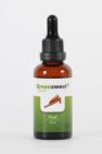 Greensweet Stevia vloeibaar kaneel 50ml