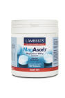 Lamberts Magasorb 180 tabletten