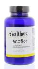 Walthers Ecoflor 100g