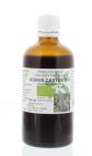 Natura Sanat Vitex agnus castus fr / kuisboom 100ml