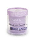 Heart & Home Votive - Bloeiende Seringen 1st