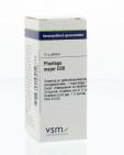 VSM Plantago major D30 10g