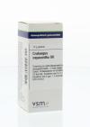VSM Crataegus oxyacantha D6 10g