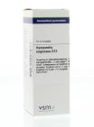 VSM Hamamelis virginiana D12 20ml