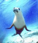 Animal Essences Seal (zeehond) 30ml