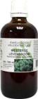Natura Sanat Thuja Occidentalis / Levensboom Tinctuur 100 ML