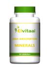 Elvitaal High Absorption Minerals 90tb