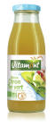 Vitamont Detox lemon green tea bio 500ML