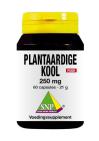 SNP Plantaardige kool 250 mg puur 60 Capsules