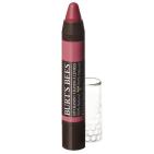 Burt's Bees Lip Crayon - Niagara Overlook 1 stuk