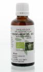 Natura Sanat Angelica officinalis / engelwortel 50ml