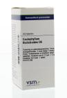 VSM Caulophyllum thalictroides D6 200 tabletten