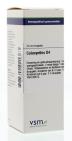 VSM Colocynthis D4 20ml