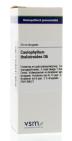VSM Caulophyllum thalictr D6 20ml