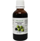 De Cruydhof Zwarte Walnootbast Extra Sterk 100ml