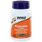 Now  Probiotica 8 Miljard Acidophilus en Bifidus 60 capsules