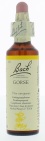 Bach Flower Remedies Gaspeldoorn 13 20ml