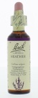 Bach Flower Remedies Struikheide 14 20ml