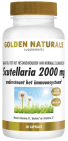 Golden Naturals Scutellaria 2000mg 30 capsules