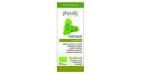 Physalis Patchoeli Bio 10ml