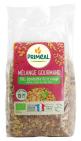Primeal Granenmix Tarwe Spelt Rode Rijst Bio 400g