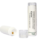 Homeoden Heel Ginkgo Biloba D6 6g