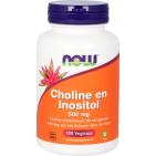 Now Choline en Inositol 500mg 100 capsules