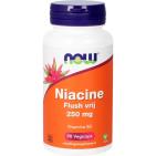 Now Niacine Flush Vrij 250mg 90 capsules