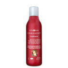 Surya Brasil Color Fixation Conditioner 250 ML