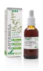 Soria Natural Artemisia vulgaris XXI extract 50ML