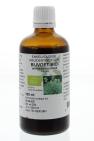 Natura Sanat Artemisia vulgaris herb / bijvoet tinctuur bio 100ml