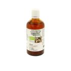 Natura Sanat Zingiber officinalis rhiz / gember tinctuur bio 100ml
