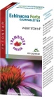 Fytostar Echinacea Forte 60 Kauwtabletten