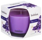 Bolsius Geurglas 95/95 True Scents Lavender 1 Stuk