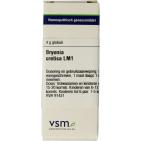 VSM Bryonia Cretica LM1 4 G