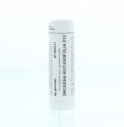 Homeoden Heel Drosera rotundifolia D12 4G