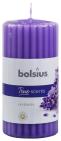 Bolsius True Scents Stompkaars Geur 120/58 Lavendel 1 Stuk