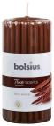 Bolsius True Scents Stompkaars Geur 120/58 Old Wood 1 Stuk