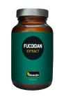 Hanoju Fucoidan Bruinalg Extract 180 Capsules