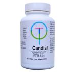 tw Candiaf 90 Tabletten