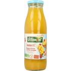 Vitamont 5 days drink immuun mango ananas acerola bio 500ML