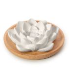 Primavera Geursteen lotusbloem 1st