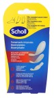 Scholl Blarenplst Mixed 5st